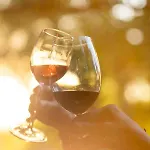 Sunolus Vineyardhouse Отель Кайсери