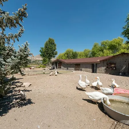 Sunolus Vineyardhouse 호텔