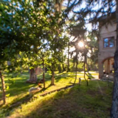 Sunolus Vineyardhouse