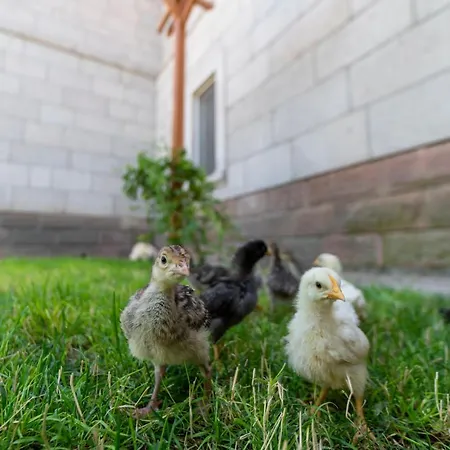 Sunolus Vineyardhouse 호텔 *