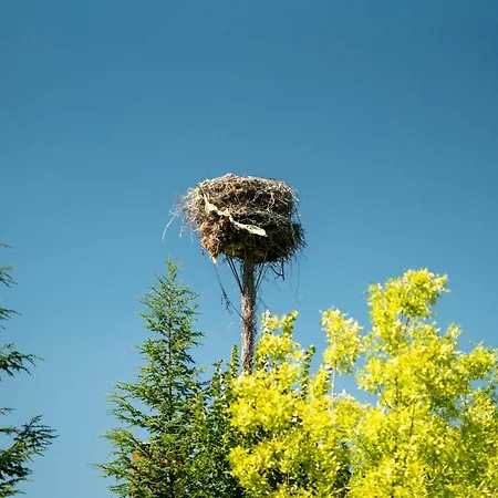 호텔 Sunolus Vineyardhouse 카이세리