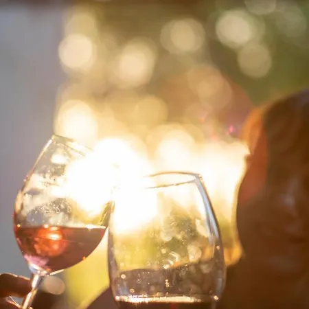 호텔 Sunolus Vineyardhouse