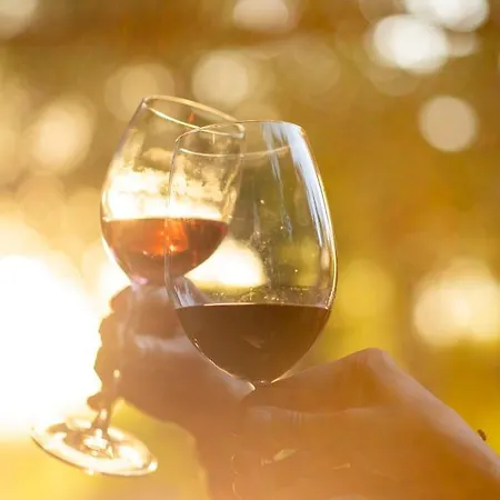 Sunolus Vineyardhouse Отель Кайсери