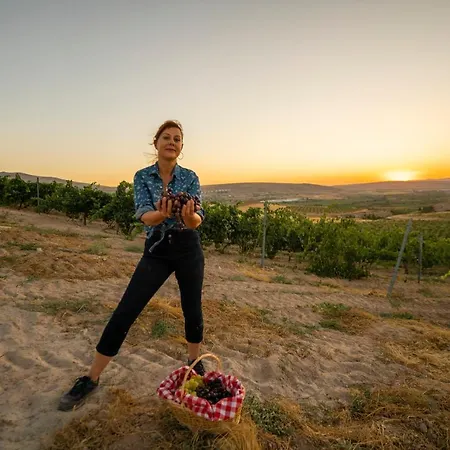 Sunolus Vineyardhouse * 카이세리