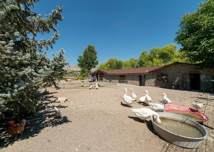 Sunolus Vineyardhouse Ξενοδοχείο