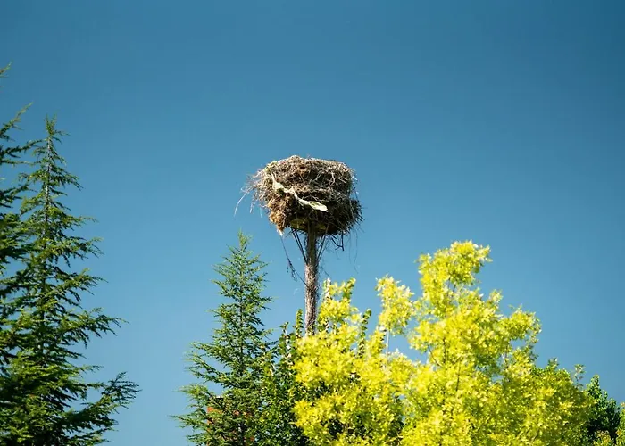 호텔 Sunolus Vineyardhouse 카이세리