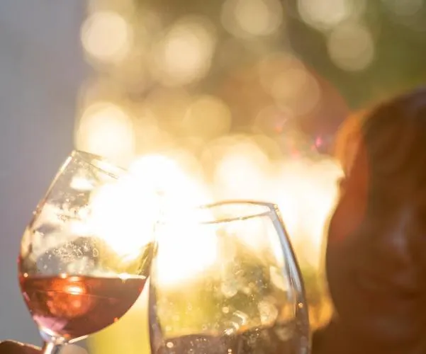 Ξενοδοχείο Sunolus Vineyardhouse