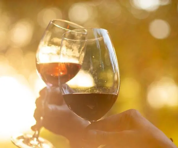 Sunolus Vineyardhouse Ξενοδοχείο Καισάρεια