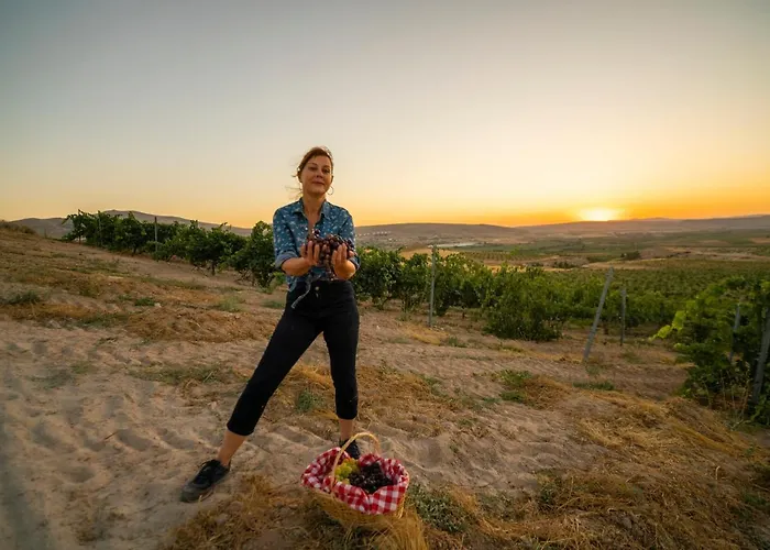 Sunolus Vineyardhouse * Καισάρεια